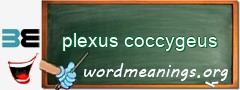 WordMeaning blackboard for plexus coccygeus